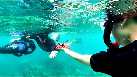 Сразу достопримечательности, а потом секс с азиаткой