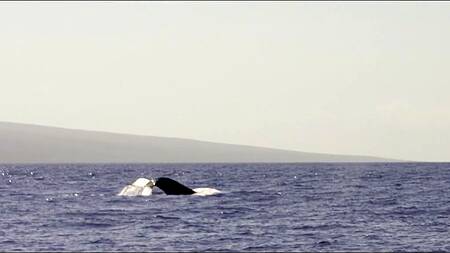 Сразу достопримечательности, а потом секс с азиаткой