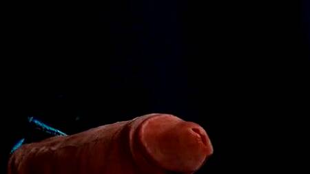 Пришла в видео салон и там ебется с продавцом