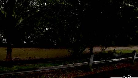 Красивая милфа во время прогулки занялась сексом за деньги