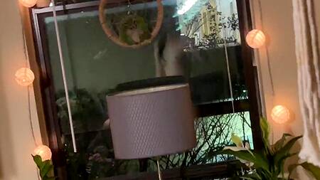 Милая студентка надела страпон и трахнула подругу неформалку