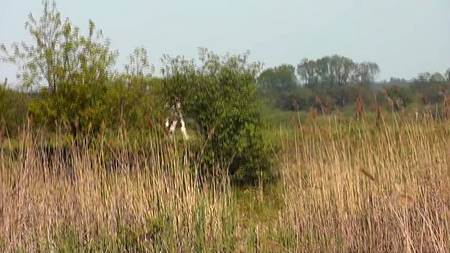 Зрелая женщина теребит свою влажную пизду на природе