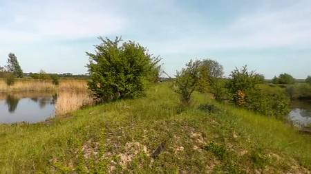 Зрелая женщина теребит свою влажную пизду на природе