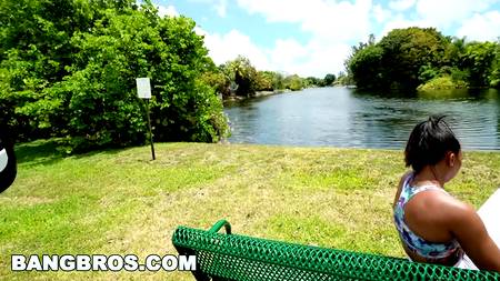 Отымел негритоску в автомобиле и выбросил у обочины