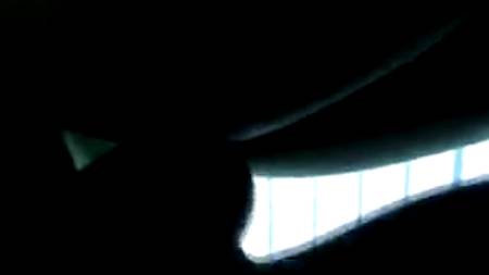 Поимел в солярии незнакомую телку.