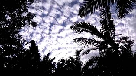 Чувак с утра по раньше кинул палку возбужденной блондинке