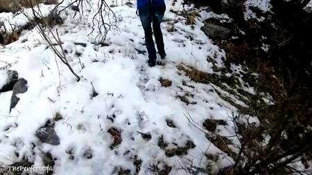 Отсосавшая в автомобиле сучка отдалась раком возле дерева