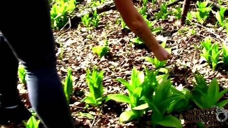 Парнишка вдул в автомобиле сексапильную сучку с зачетной попкой