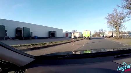 Ловелас снял у дороги проститутку и отжарил в публичном месте