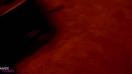 Неугомонный пихарь снимает хоум порно с грудастой женщиной