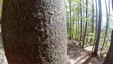 Сексапильная сучка отдалась на природе ненасытному любовнику