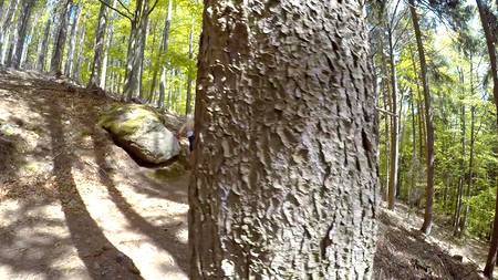 Сексапильная сучка отдалась на природе ненасытному любовнику