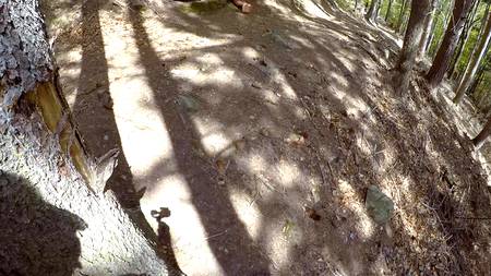 Сексапильная сучка отдалась на природе ненасытному любовнику