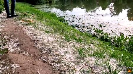 Сексапильная сучка строчит минет в парке своему хахалю