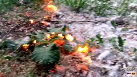 Сексапильная сучка строчит минет в парке своему хахалю