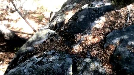 Мотоциклист оприходовал на улице грудастую девушку раком