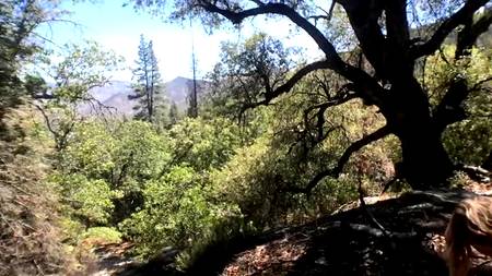 Мотоциклист оприходовал на улице грудастую девушку раком