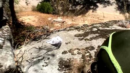 Мотоциклист оприходовал на улице грудастую девушку раком