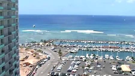 Отсос на фоне морских пейзажей