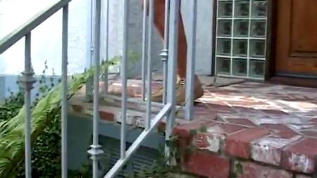 Подруги любят ублажать мужчин