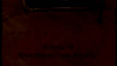 Чешская красотка принимает в киску