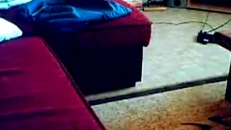 Стриженая жена сосет и скачет на члене