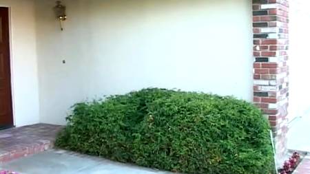 Отодрал в жопку нежную азиатку