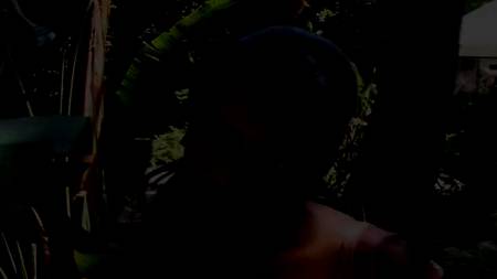 Чернокожие любовники встретились ради бурного соития