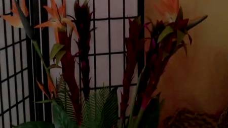 Две зрелые толстухи сочно трахаются друг с дружкой