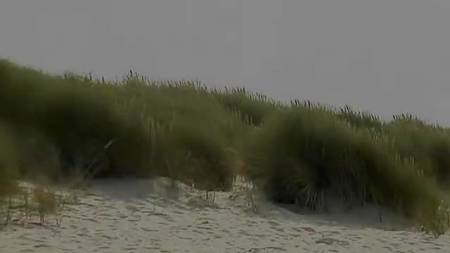 Двое ловеласов приласкали грудастую пляжницу