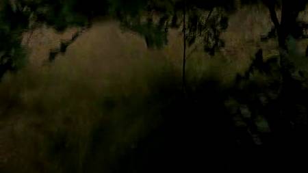 Зрелая дама в лесу трахается с негром