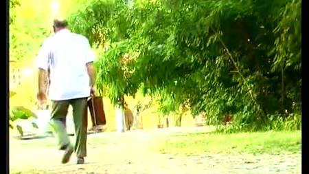 Парень снял целую подборку золотого дождя