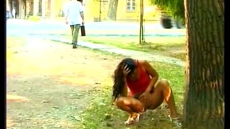 Парень снял целую подборку золотого дождя