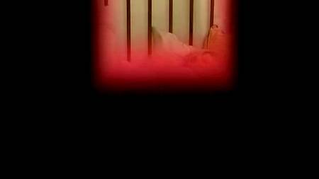 Жена, подруга и любовник