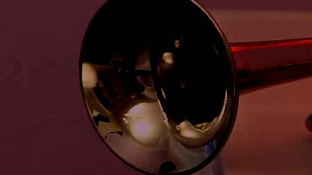 Брюнеточка в гостях у жеребца