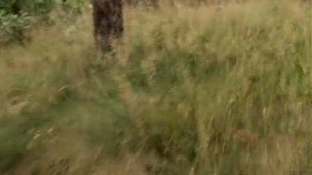 Не только трахнули девочку в лесу, но и сняли порно