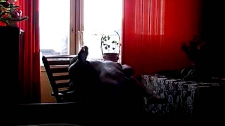 Дед дорвался до молодой щели