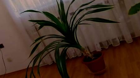 Давид поимел грудастую толстуху