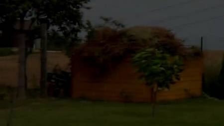 Толстушка особенно хороша раком