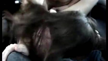 Выложили все свое порно