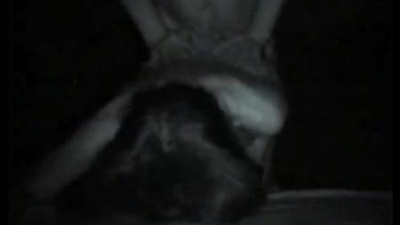 Выложили все свое порно