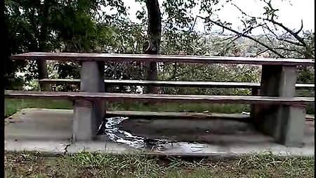 Писающая шлюшка