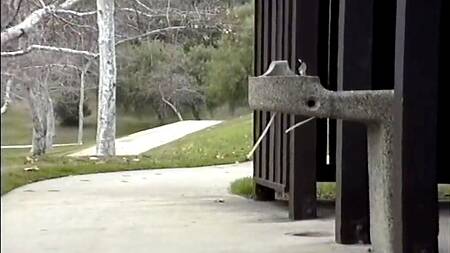 Девушки ссут как в туалете, так и на улице