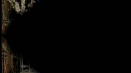 Брюнет насилует супругу своего господина на веранде