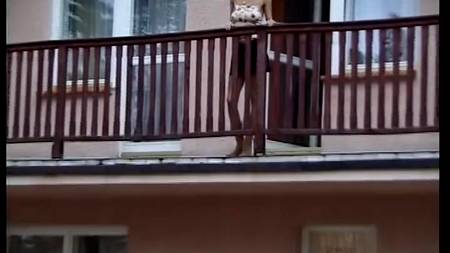 Клевый анал с молодой женой