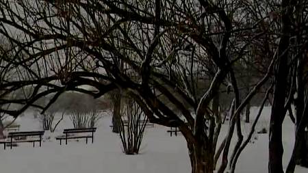 Молодая и страстная русская пара