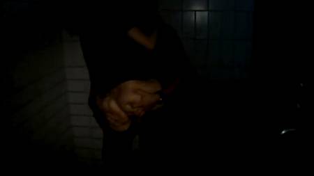 Мощно трахнулись в сортире