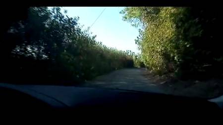 Развратная нянька