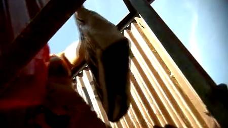 Снял блондинку в кабинке для переодевания