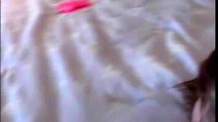 Молодая телка готова отдаться в анус